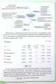 Фото Інформатика 8 клас 3
