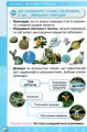 Фото Я досліджую світ 3 клас. Частина 1 5