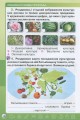 Фото Я досліджую світ 3 клас. Робочий зошит. Частина 2 5