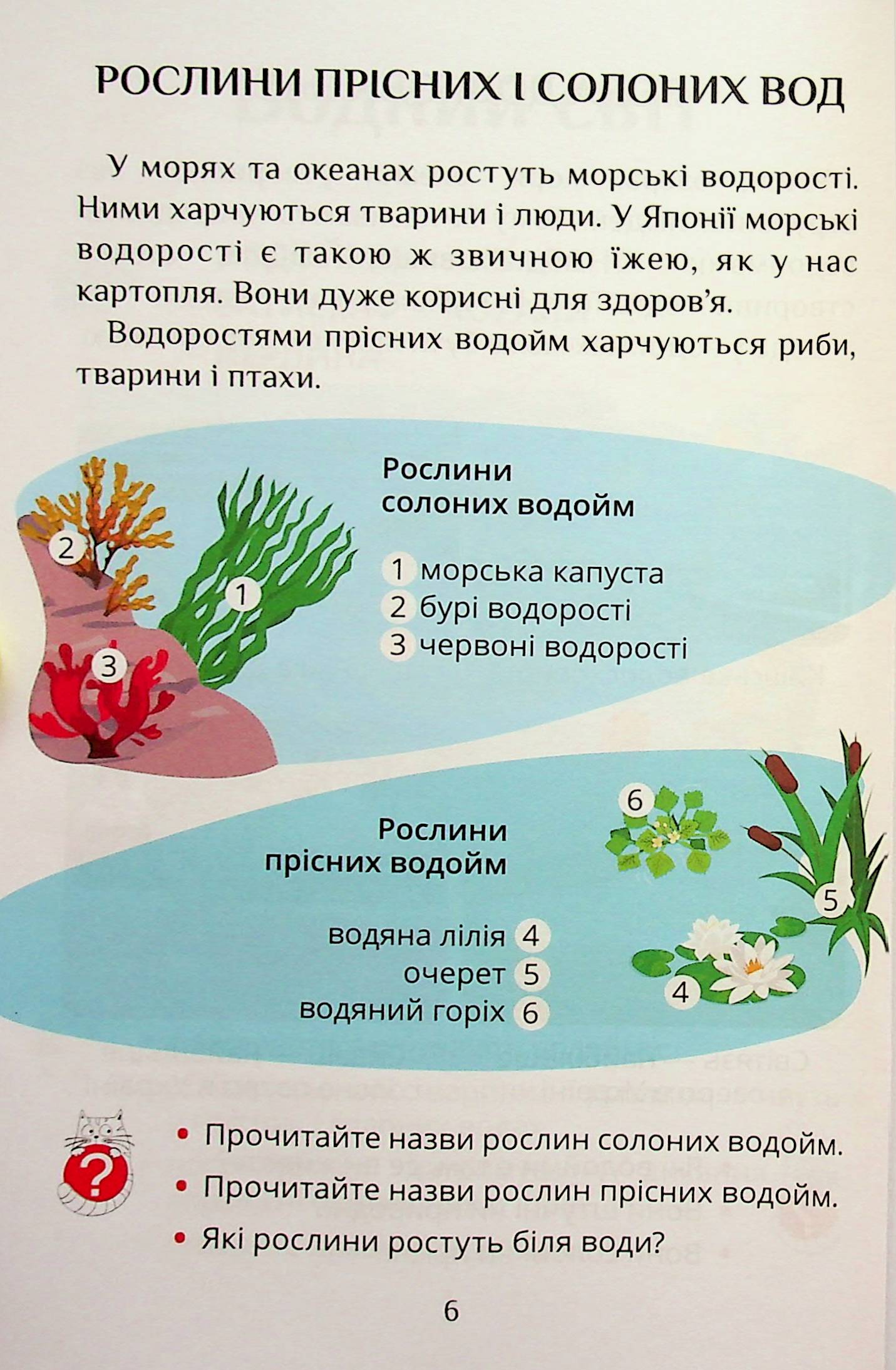 Hidden Product Image 6