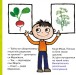 Фото Киця-Миця. Чим засіємо город? 8