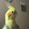 Марія