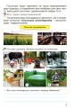 Фото Фінансова арифметика 3 клас. Зошит-посібник з фінансової грамотності 4