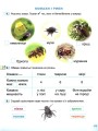 Фото Я досліджую світ 1 клас. Робочий зошит. Частина 2 2