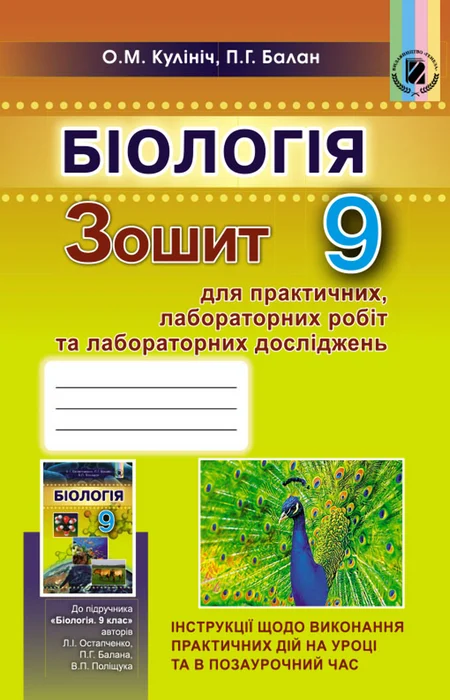 Main Product