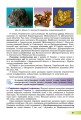 Фото Географія 8 клас 5