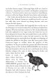 Фото Dragon Rider. The Aurelia Curse. Book 3 4