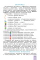 Фото Математика 6 клас. Підручник. Частина 2 2