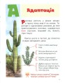 Фото Класна абетка. Рослини 2