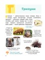 Фото Класна абетка. Тварини 2