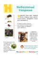 Фото Класна абетка. Тварини 5