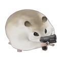 Микита