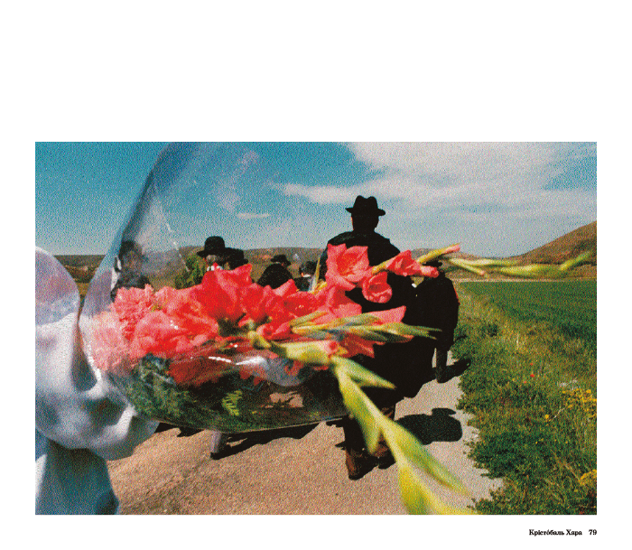 Hidden Product Image 10