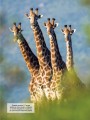 Фото Велика книга тварин 5