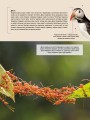 Фото Велика книга тварин 7