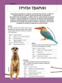 Фото Велика книга тварин 8
