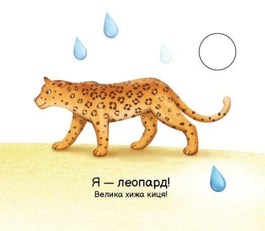 Hidden Product Image 7