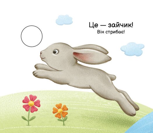 Hidden Product Image 6