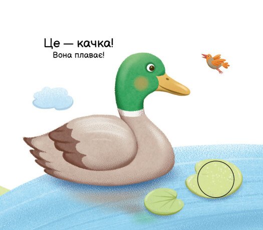 Hidden Product Image 7