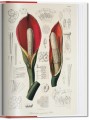 Фото A Garden Eden. Masterpieces of Botanical Illustration 3