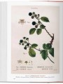 Фото A Garden Eden. Masterpieces of Botanical Illustration 4