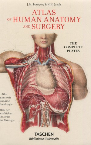 Atlas of Human Anatomy and Surgery