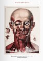 Фото Atlas of Human Anatomy and Surgery 3