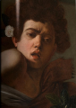 Фото Caravaggio. The Complete Works 7