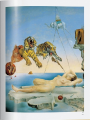 Фото Dali. The Paintings: 1904-1989 5