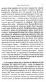 Фото Квіти цикорію 5