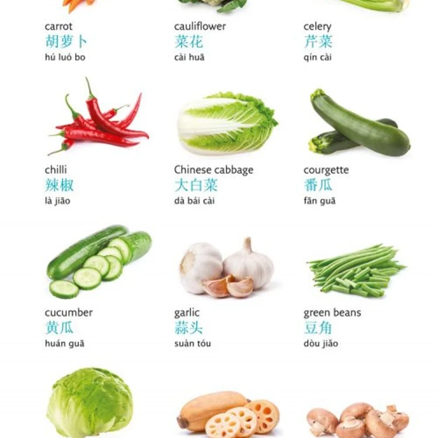 Collins Mandarin Chinese Visual Dictionary, — купити книгу за 415 грн у