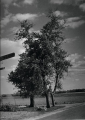 Фото New Deal Photography: USA 1935-1943 2