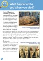 Фото Collins Primary History: Ancient Egypt Pupil Book 4