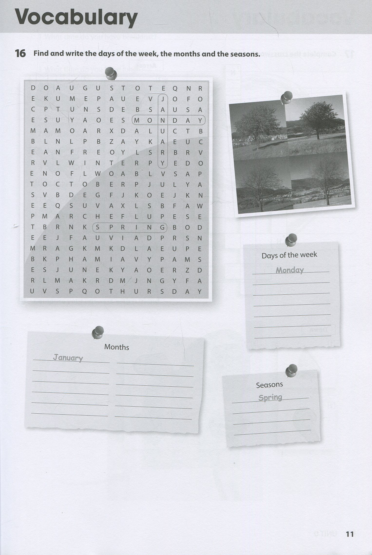 Hidden Product Image 11