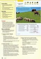 Фото Wonderful World 2nd Edition 2 Lesson Planner 4