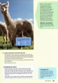 Фото Wonderful World 2nd Edition 2 Lesson Planner 6
