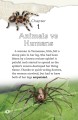 Фото DK Readers 4: Spiders and Other Deadly Animals 2