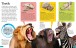 Фото DKfindout!: Animals 4
