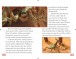 Фото DK Reads: Star Wars. What Makes a Monster? 4