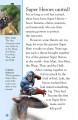 Фото DK Readers 4: World's Mightiest Super Hero Team,The 2