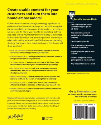 Content Marketing Strategies for Dummies