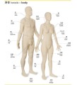 Фото Japanese-English Bilingual Visual Dictionary 3