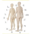 Фото Japanese-English Bilingual Visual Dictionary 4