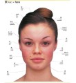 Фото Japanese-English Bilingual Visual Dictionary 5