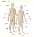 Фото Portuguese-English Visual Bilingual Dictionary 3