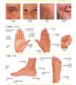 Фото Portuguese-English Visual Bilingual Dictionary 6