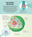 Фото Active Learning. Human Body 3