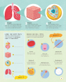 Фото Active Learning. Human Body 4
