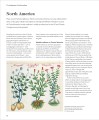 Фото Encyclopedia of Herbal Medicine 5