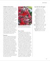 Фото Encyclopedia of Herbal Medicine 6